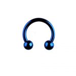 BLUE ANODISED CIRCULAR BARBELL