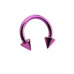 PURPLE ANODISED CIRCULAR BARBELL WITH CONES