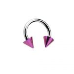 CIRCULAR BARBELL WITH PURPLE ANODISED CONES