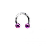 CIRCULAR BARBELL WITH PURPLE ANODISED BALLS