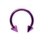 PURPLE ANODISED MICRO CIRCULAR BARBELL WITH CONES
