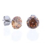 Champagne  Prong Set Steel Ear Studs ( Round ) By Pair
