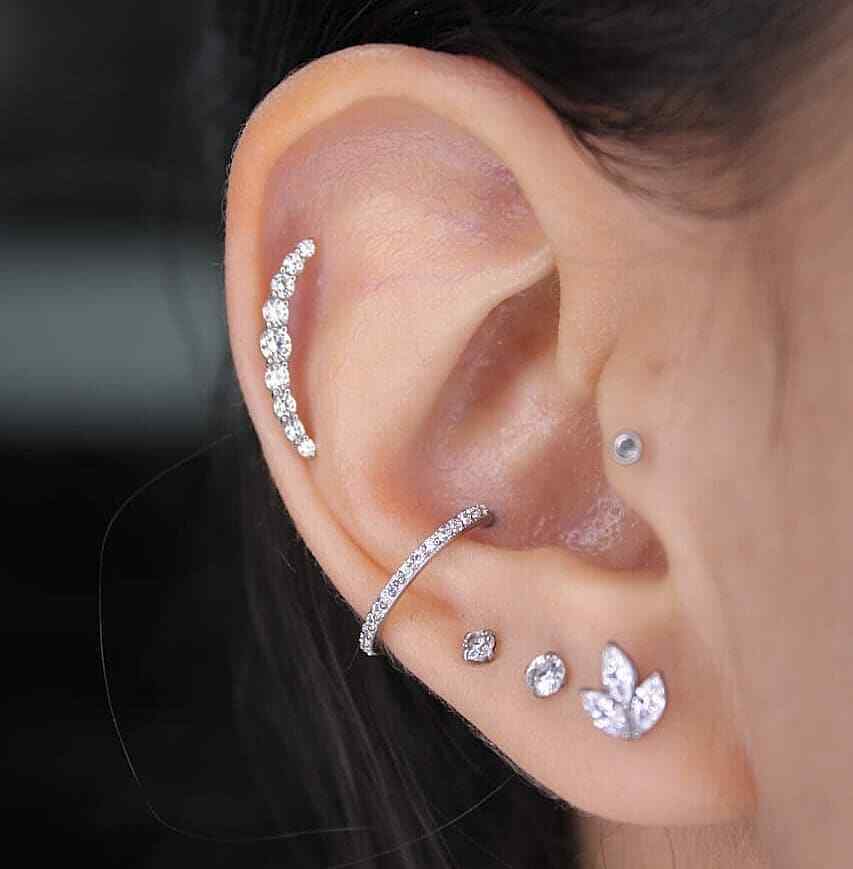 Sugar Body Jewellery Shop Piercing / Body Jewellery