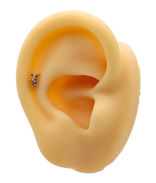 Olive Leaf Labret – Internally Threaded – Rose Gold - Image 3