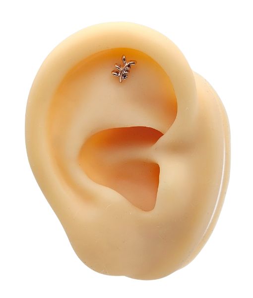 Olive Leaf Labret – Internally Threaded – Rose Gold - Image 4