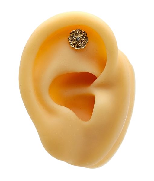 Tragus & Helix – Gold Floral Top – 316L Surgical Steel - Image 2