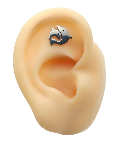 Double Dolphin Tragus Stud - Image 2