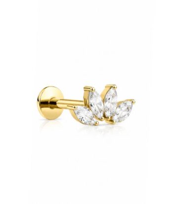 TITANIUM  GOLDEN FLUTTER