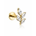 TITANIUM GOLDEN LAUREL