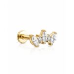 TITANIUM GOLDEN LAUREL CROWN