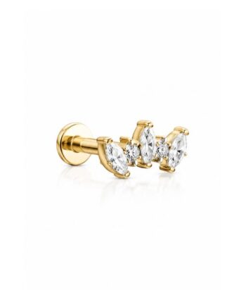 TITANIUM GOLDEN LAUREL CROWN