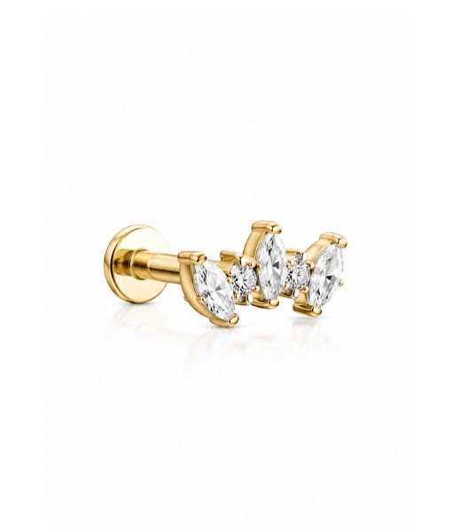 TITANIUM GOLDEN LAUREL CROWN