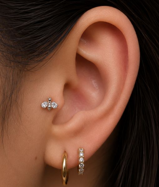 TITANIUM CZ QUEEN BEE - Image 2