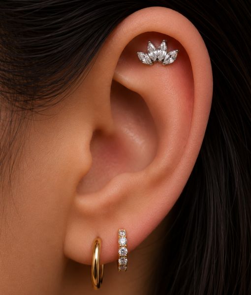 TITANIUM TIB5 CROWN CLUSTTER - Image 2