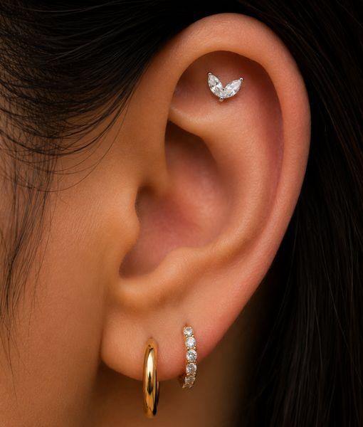 TITANIUM LEAF DUO - Image 2