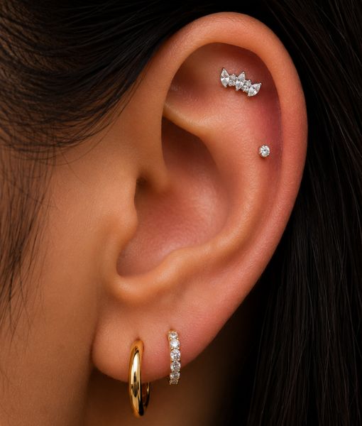 TITANIUM FIVE STONE CROWN - Image 2