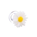 Taraxacum Albidum Plug