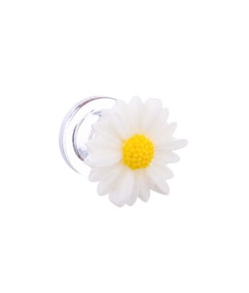 Taraxacum Albidum Plug