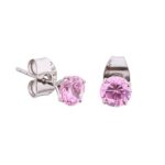 Rose Prong Set Steel Ear Studs (Round) By Pair