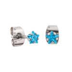 Aqua Prong Set Steel Ear Studs (Star) By Pair