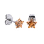 Champagne Prong Set Steel Ear Studs (Star) By Pair