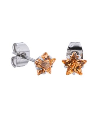 Champagne Prong Set Steel Ear Studs (Star) By Pair