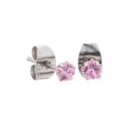 Rose Prong Set Steel Ear Studs (Star) By Pair
