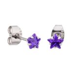 Amethyst Prong Set Steel Ear Studs (Star) By Pair