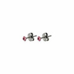 Rose Prong Set Steel Ear Studs By Pair